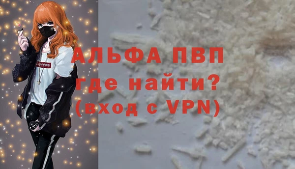 гашик Алексин
