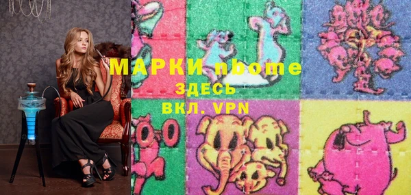 гашик Алексин