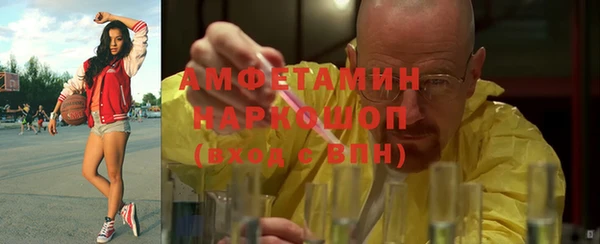 гашик Алексин