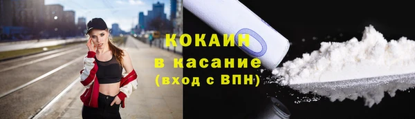 гашик Алексин