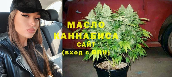 гашик Алексин