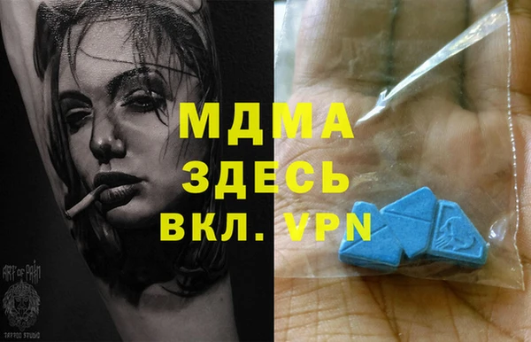 гашик Алексин