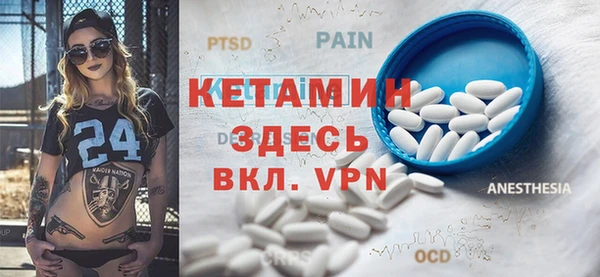 гашик Алексин