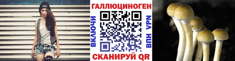 наркошоп  Владивосток  Галлюциногенные грибы GOLDEN TEACHER 